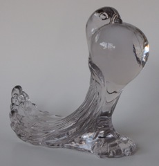 Pouter Pigeon  No. 1 1947-1949
